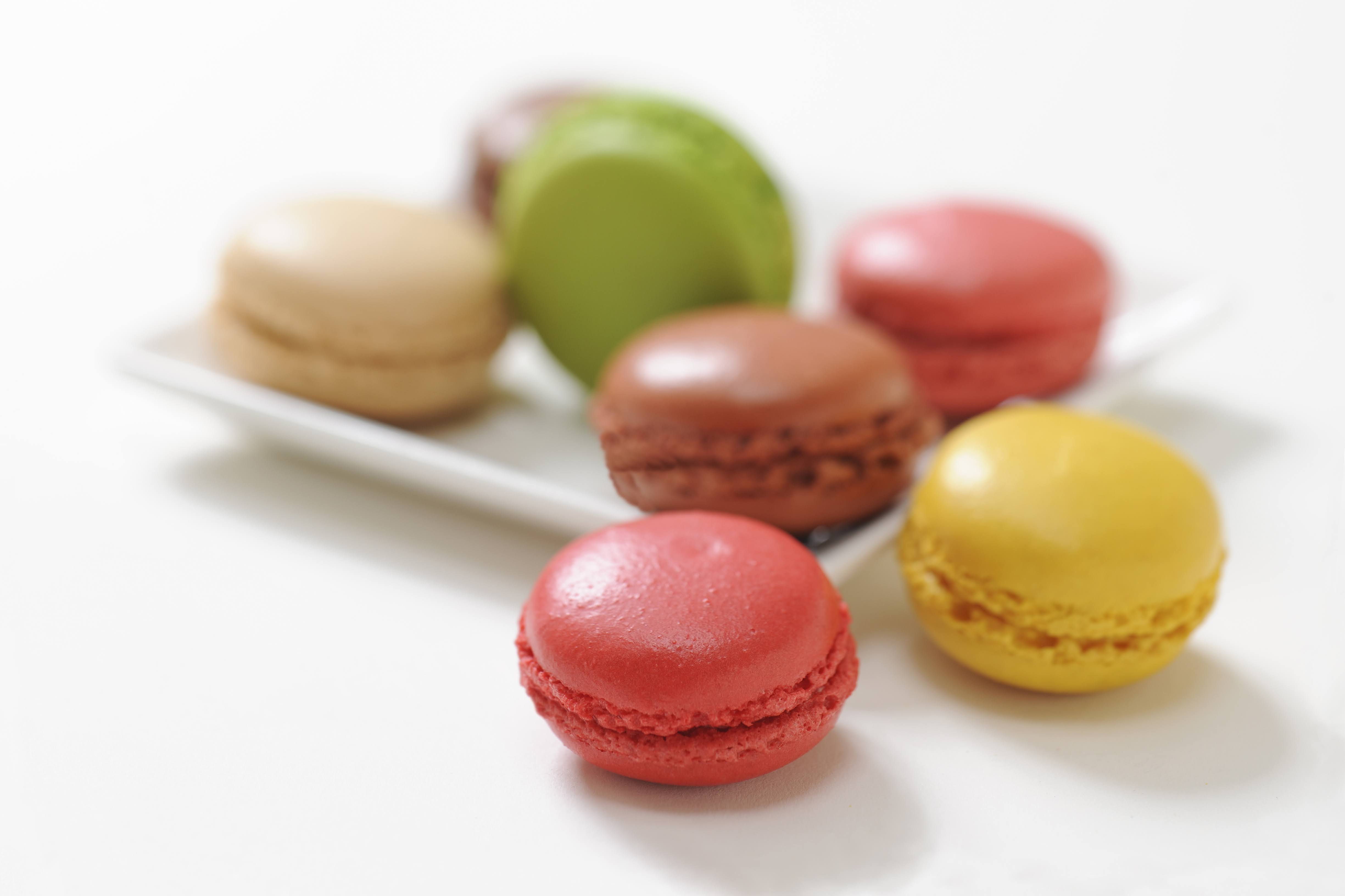 【DALLOYAU】ダロワイヨ マカロンドゥミセック詰め合わせ（大）