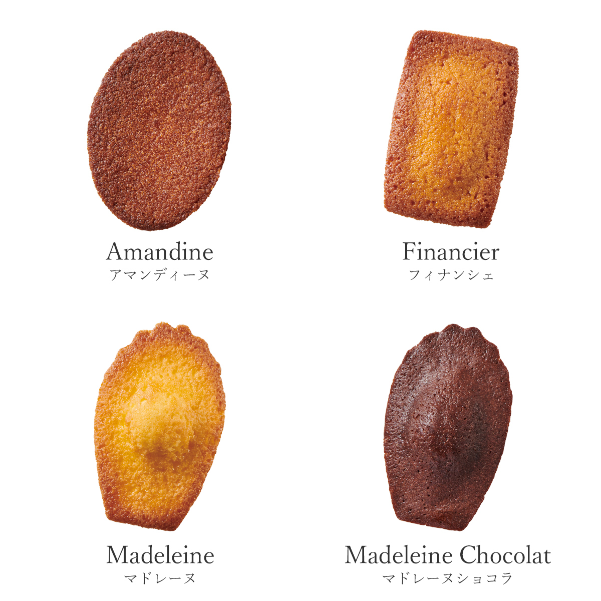 【DALLOYAU】ダロワイヨ マカロンドゥミセック詰め合わせ（大）