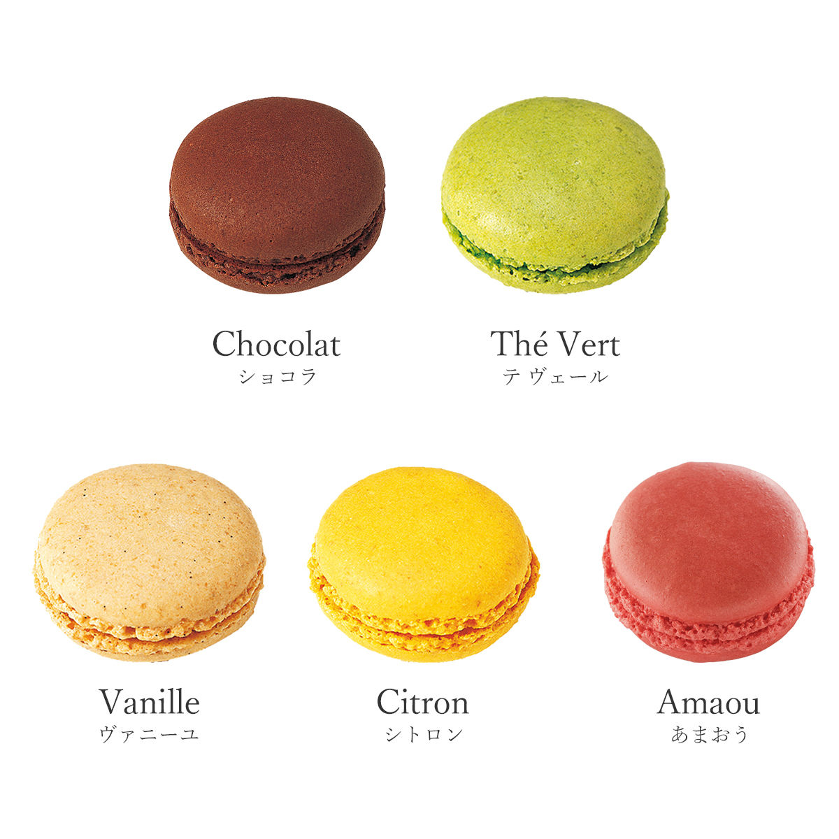 【DALLOYAU】ダロワイヨ マカロンドゥミセック詰め合わせ（大）