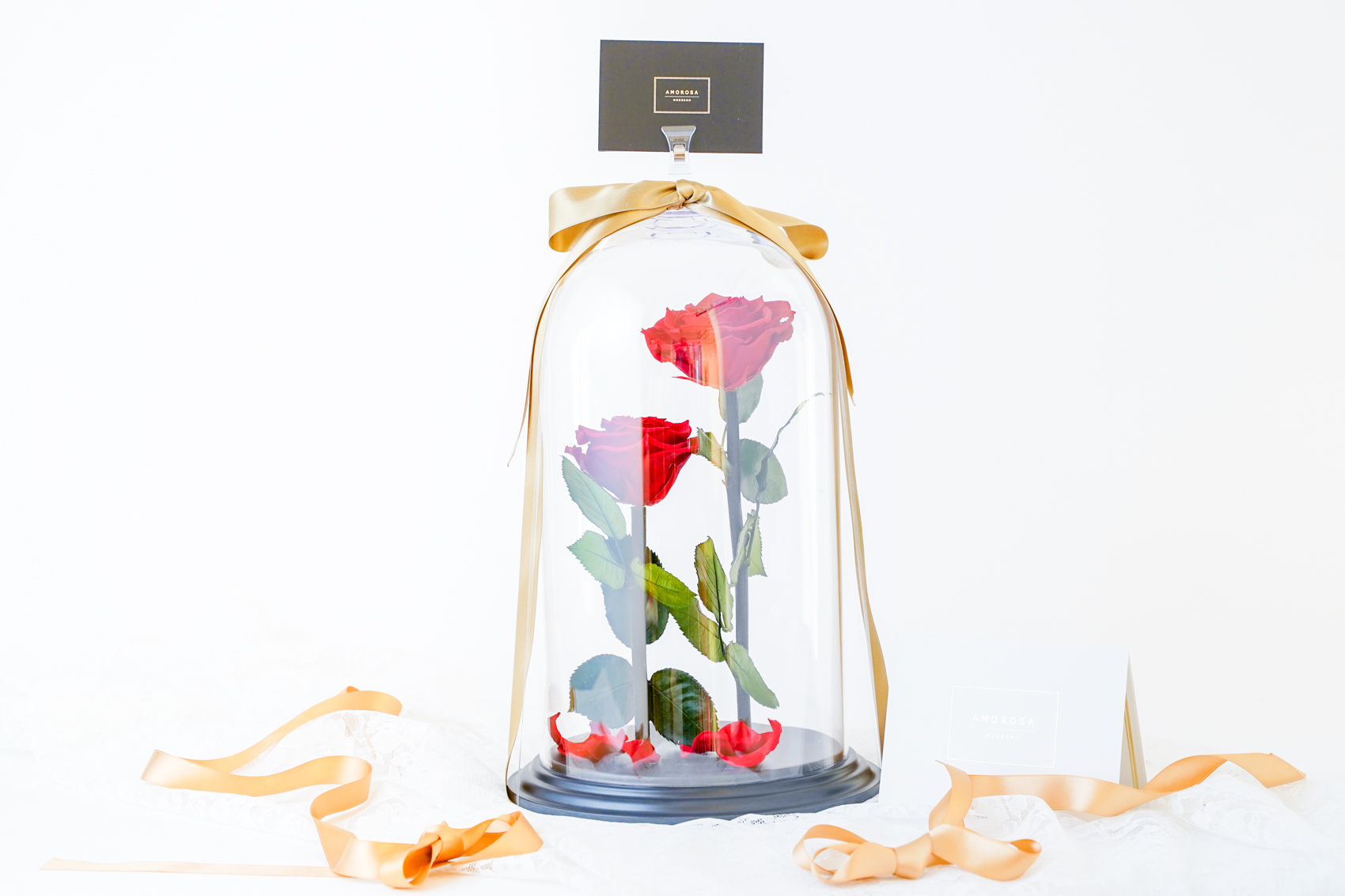 【DESTINY ROSE】2本立ち