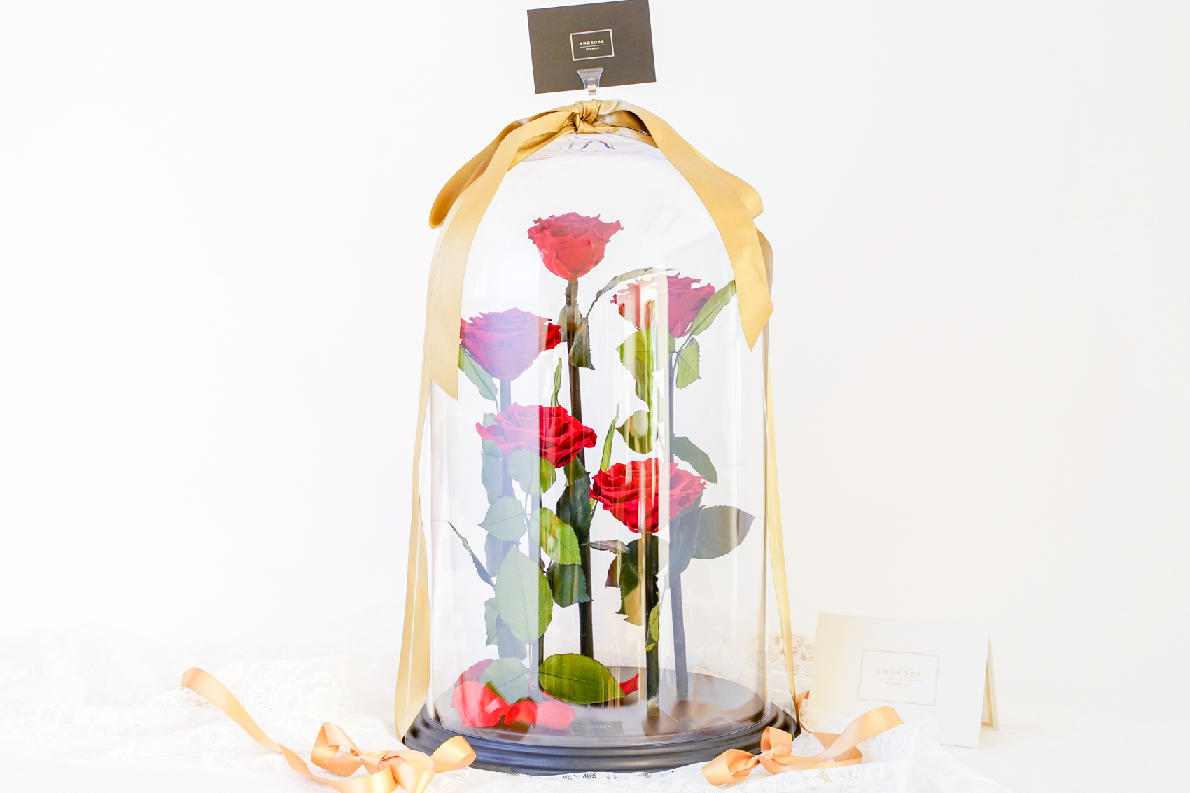 【DESTINY ROSE】5本立ち