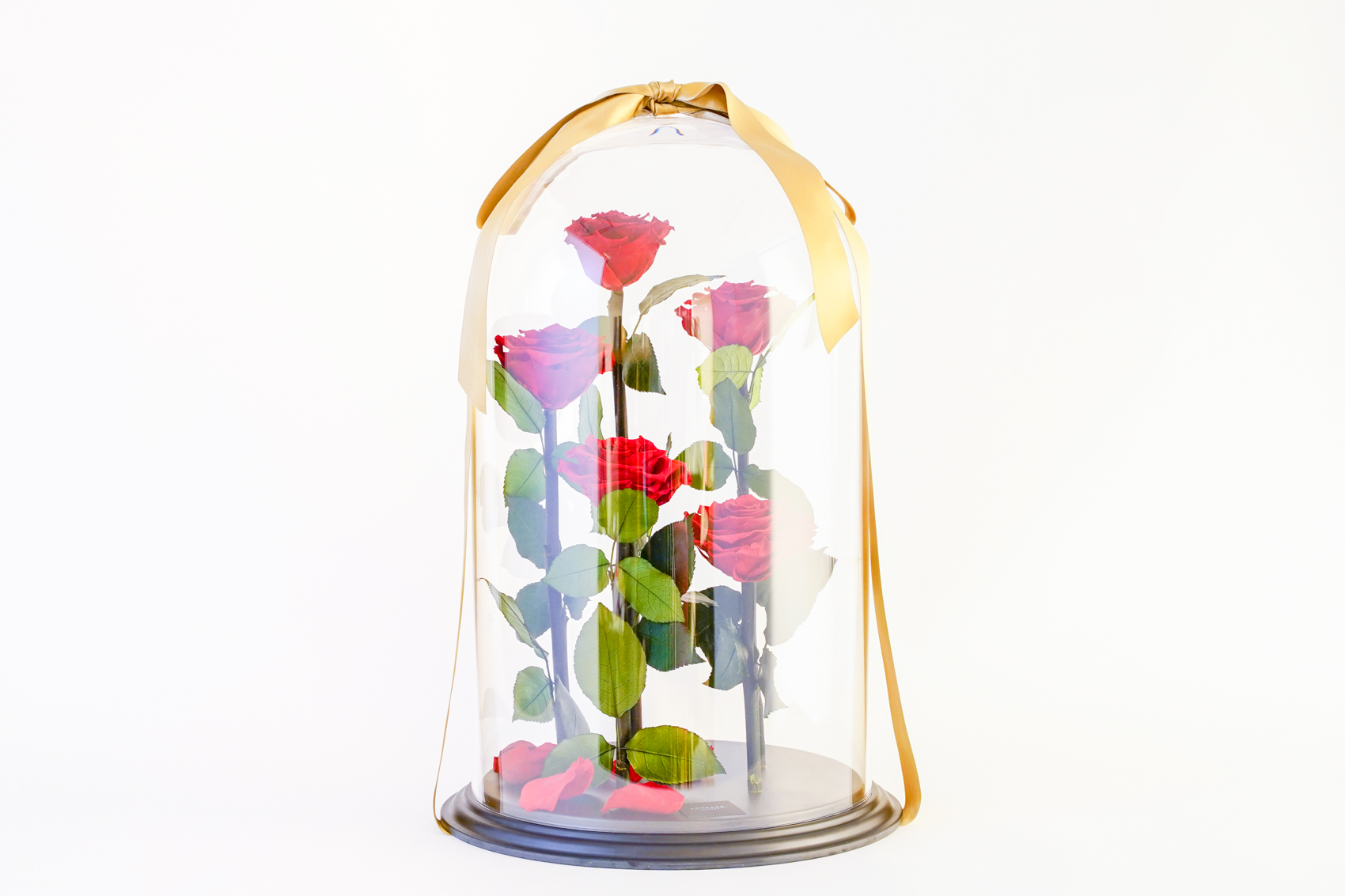 【DESTINY ROSE】5本立ち