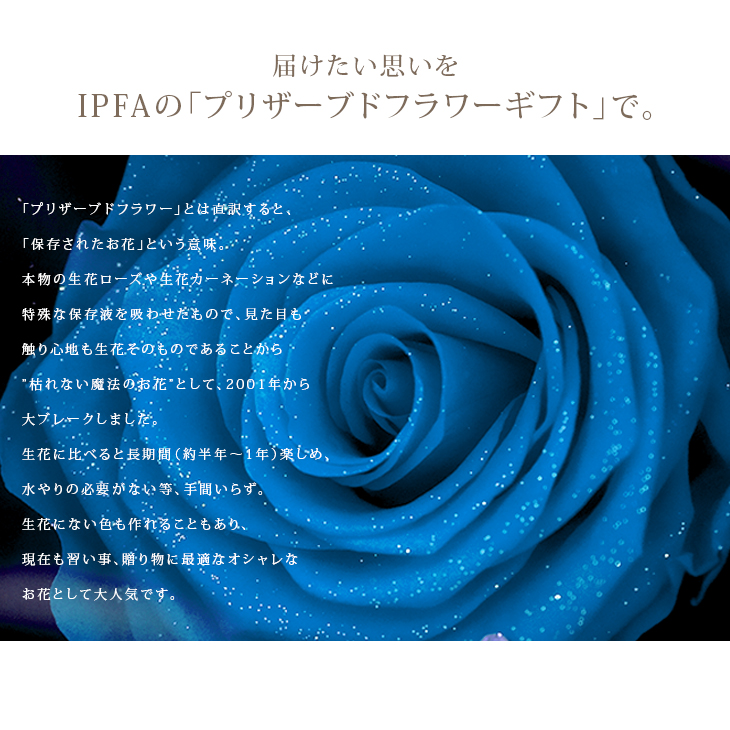 プリザーブドフラワー エスペシャリー バースデーボックス