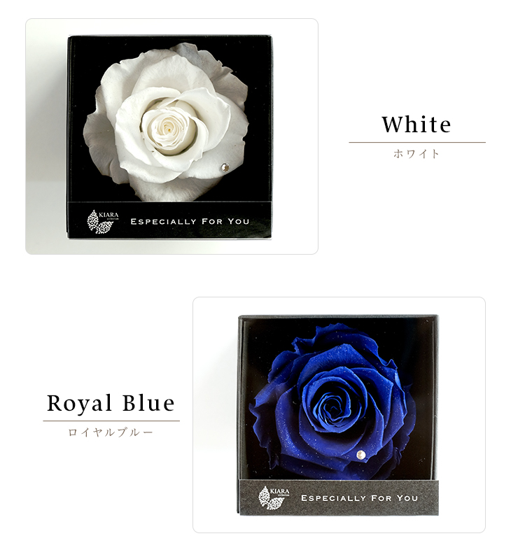 プリザーブドフラワー エスペシャリーボックス 誕生日 記念日 結婚祝い 花 フラワー バラ プレゼント ギフト ホワイトデー 人気