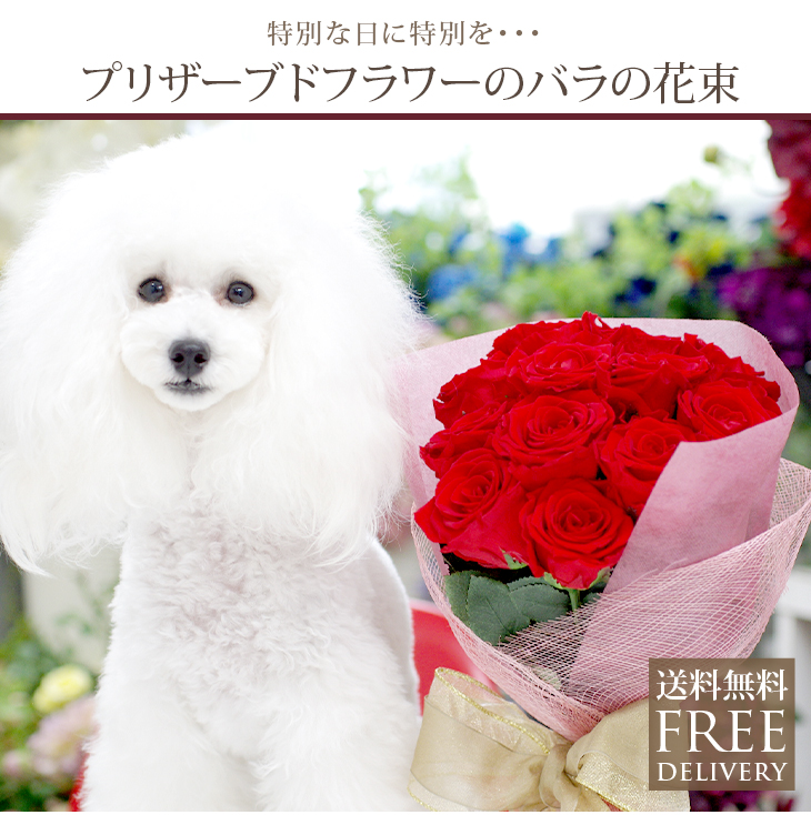 プリザーブドフラワー バラの花束　12輪