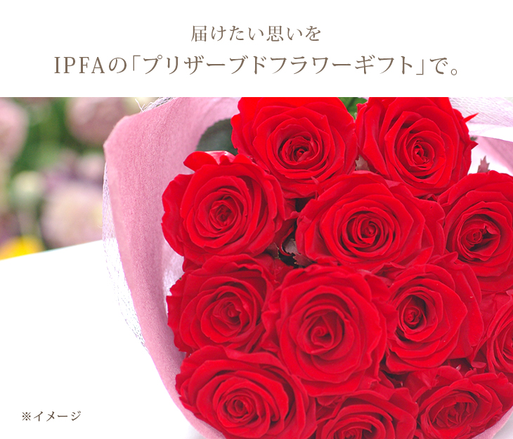 プリザーブドフラワー バラ の 花束 12輪 プロポーズ 告白 ローズ 赤 赤いバラ 薔薇 誕生日 プレゼント ギフト