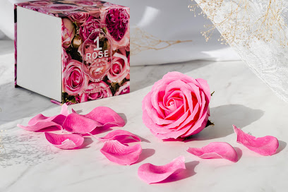 【タンプ限定】ローズナンバーセット