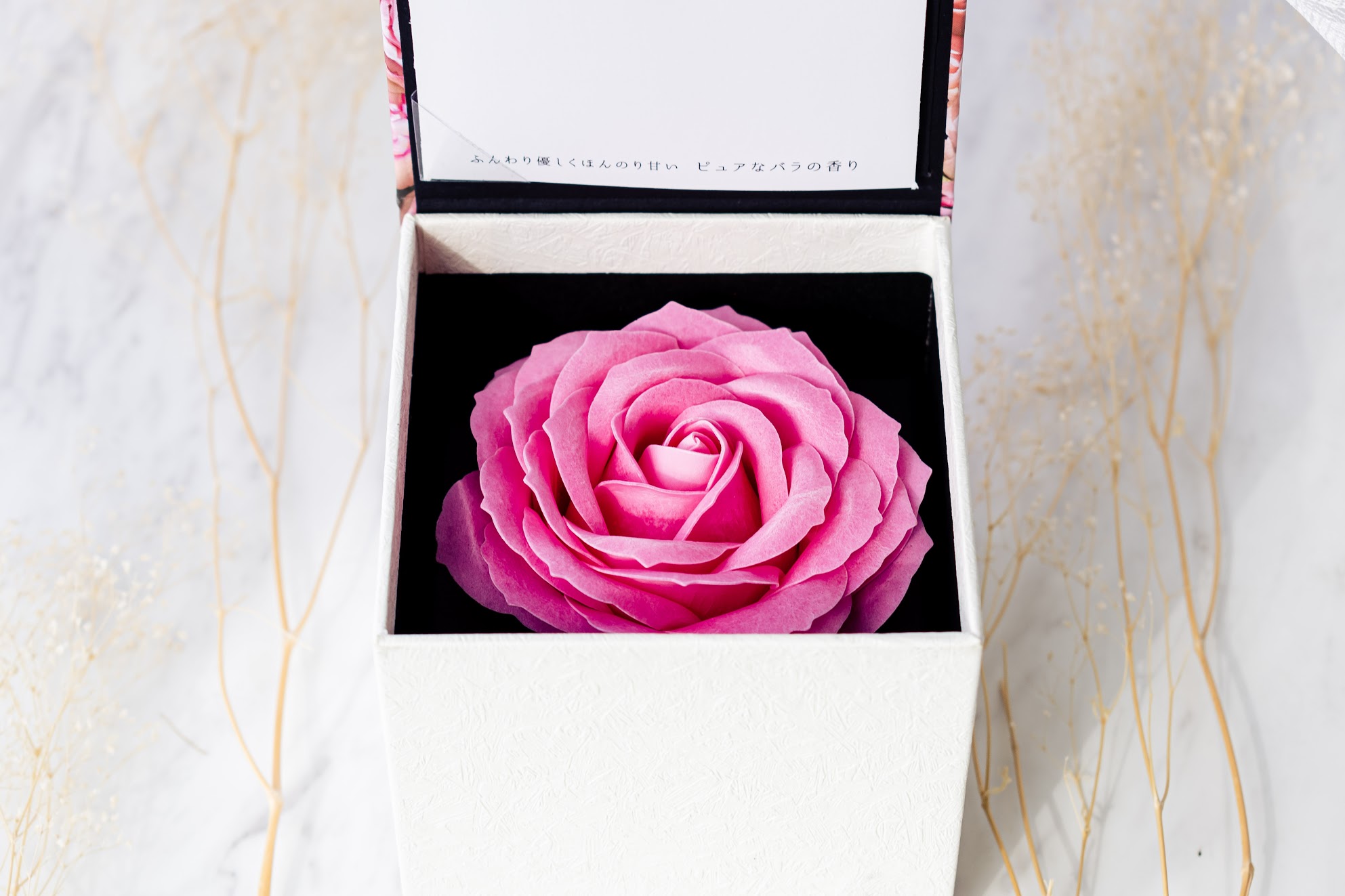 【タンプ限定】ローズナンバーセット