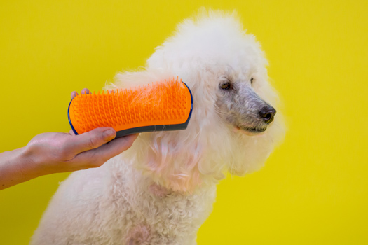 ペットティーザー ラージ