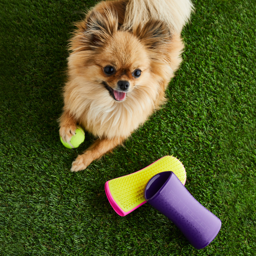 ペットティーザー ラージ