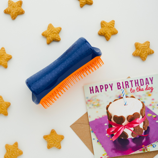 ペットティーザー ラージ