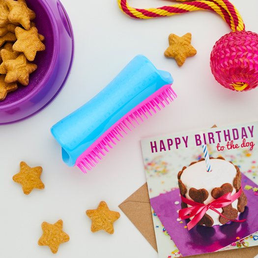 ペットティーザー ラージ