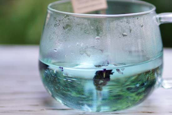 ハーブティー6種＆カップ・ソーサー1個セット