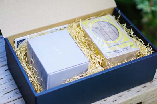 カモミールハーブティー カップ＆ソーサー1個セット