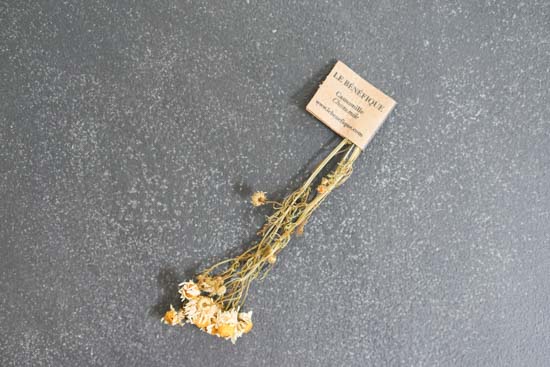 カモミールハーブティー カップ＆ソーサー1個セット