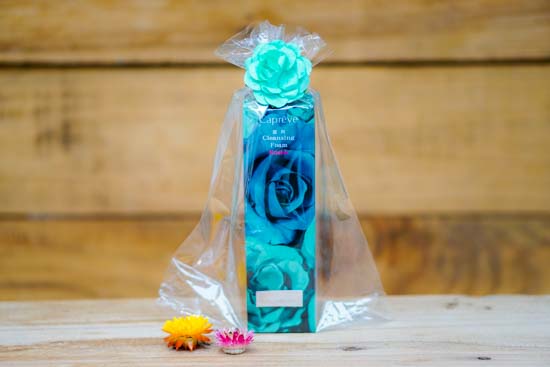 薬用クレンジングフォームロジエ[100g]