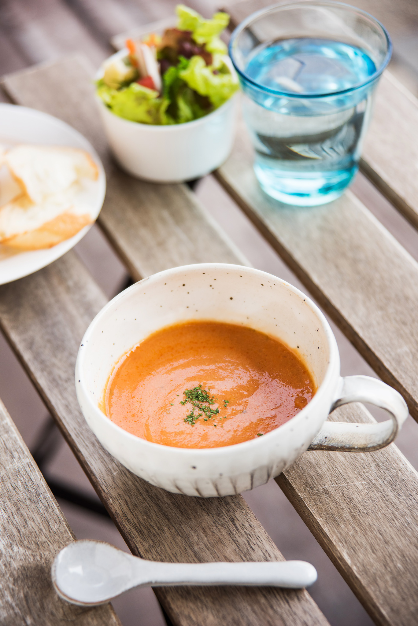 野菜34種と麹のスープスムージー6種『9個入りギフトセット』