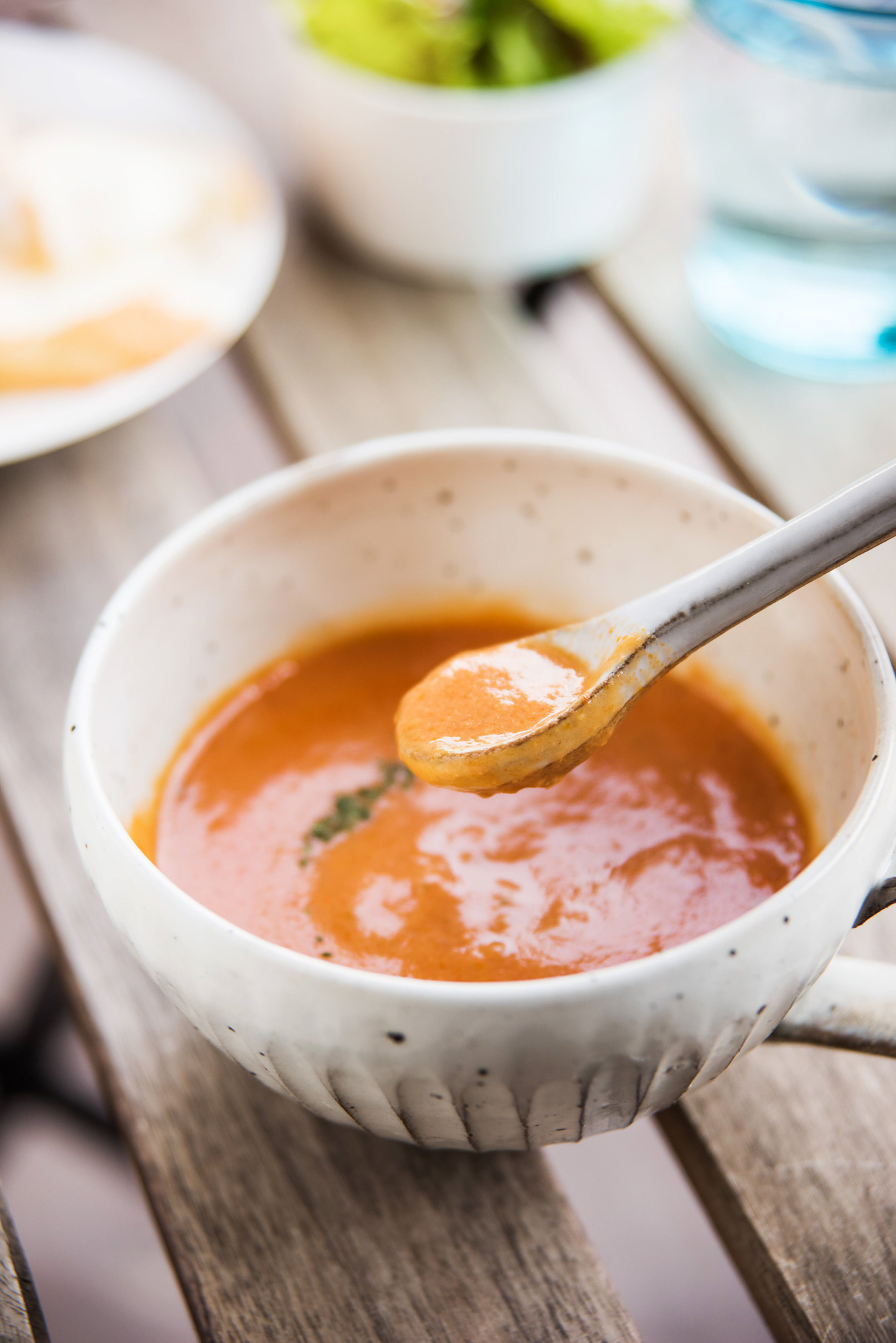 野菜34種と麹のスープスムージー6種『9個入りギフトセット』