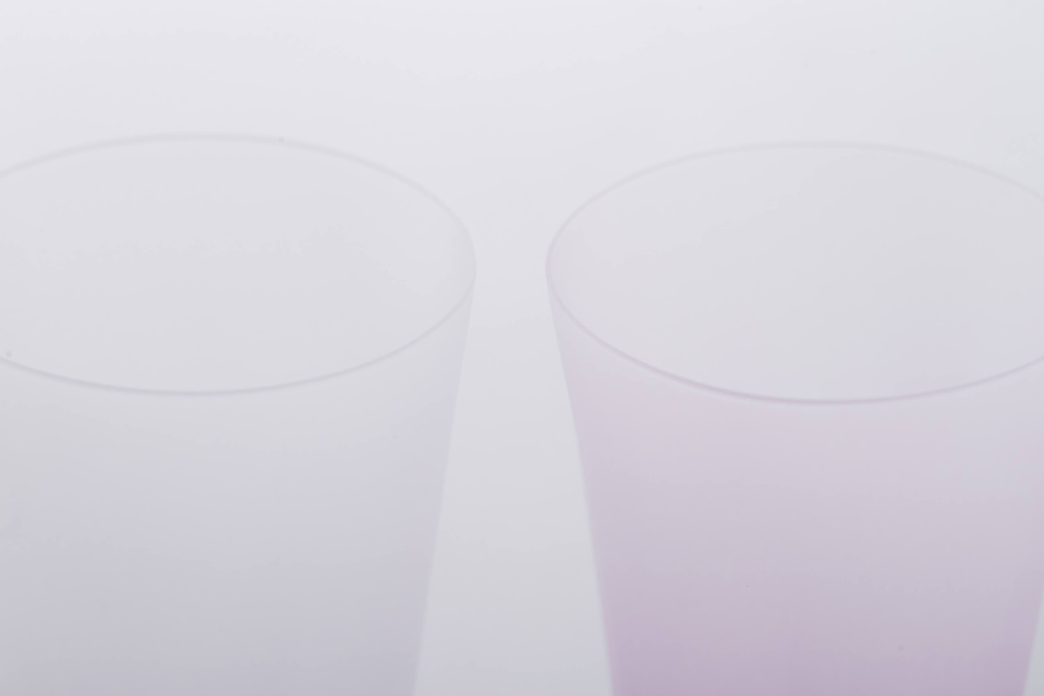 さくらさく雪桜　タンブラー紅白