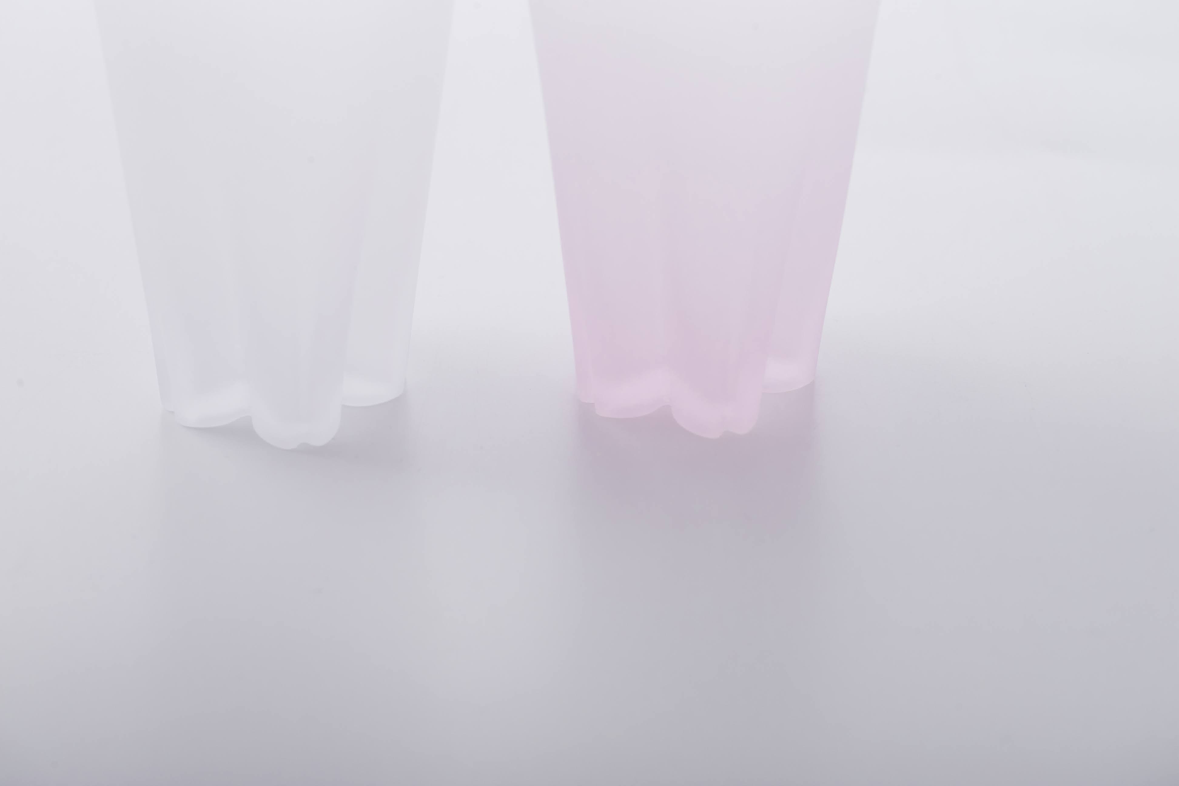 さくらさく雪桜　タンブラー紅白