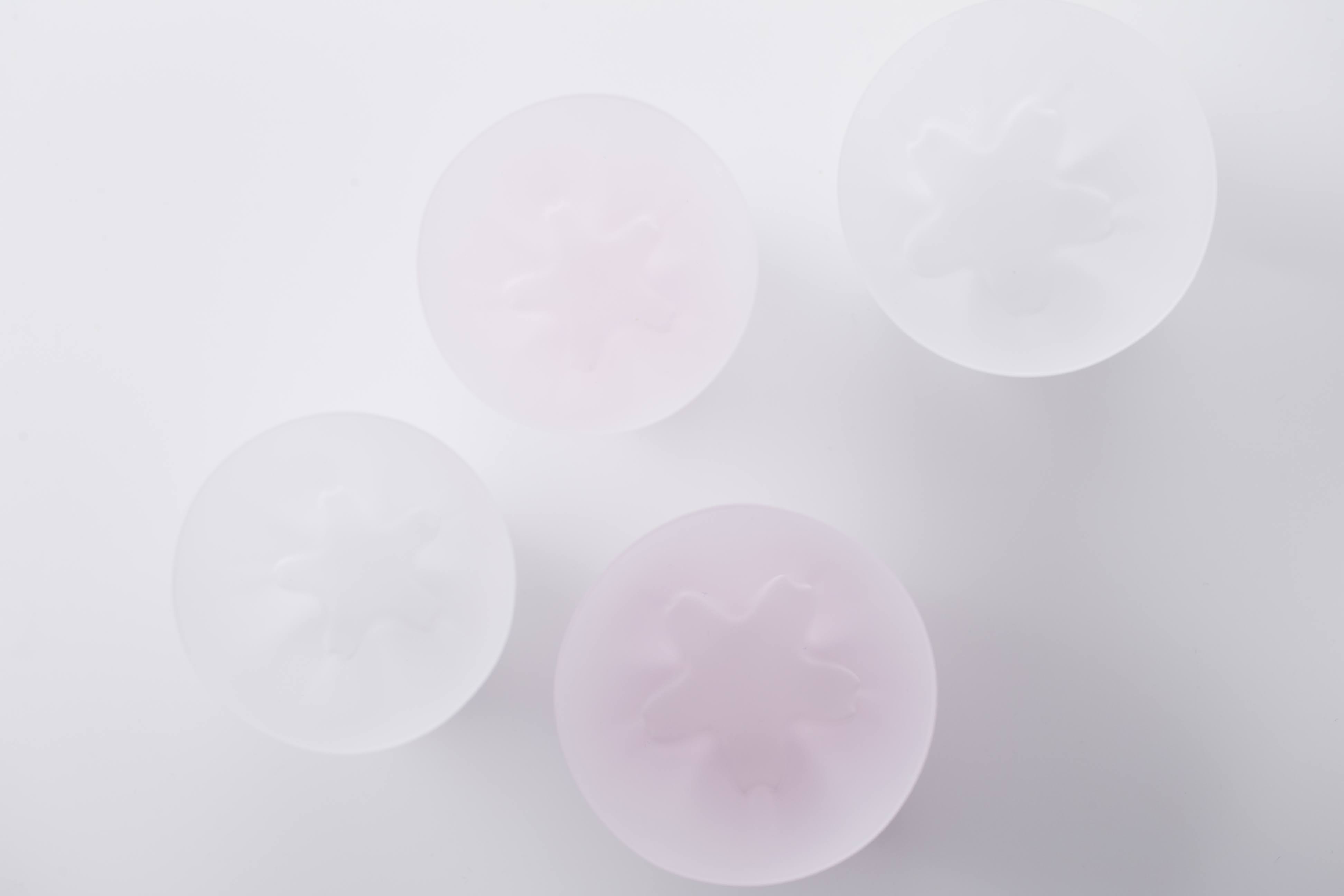 さくらさく雪桜　タンブラー紅白