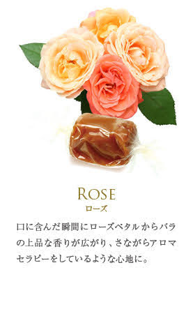 フランス直輸入 キャラメル 8粒 丸缶（ マリーアントワネット / エリザベート ）