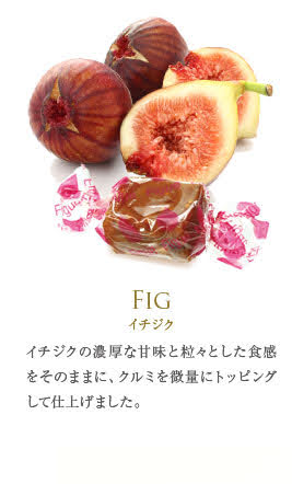 フランス直輸入 キャラメル 8粒 丸缶（ マリーアントワネット / エリザベート ）