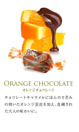 フランス直輸入 キャラメル 8粒 丸缶（ マリーアントワネット / エリザベート ）