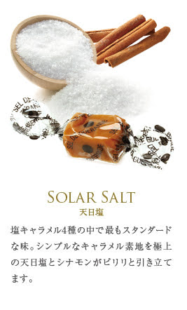 フランス直輸入 キャラメル 8粒 丸缶（ マリーアントワネット / エリザベート ）