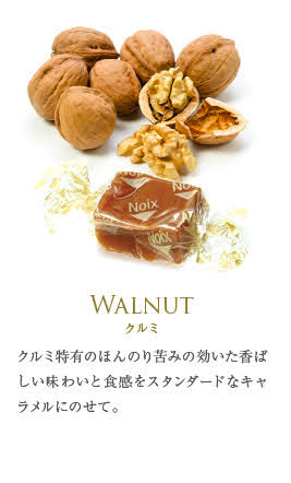 フランス直輸入 キャラメル 8粒 丸缶（ マリーアントワネット / エリザベート ）