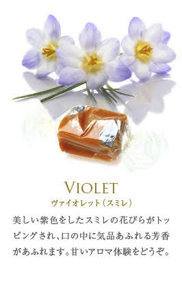 フランス直輸入 キャラメル 8粒 丸缶（ マリーアントワネット / エリザベート ）