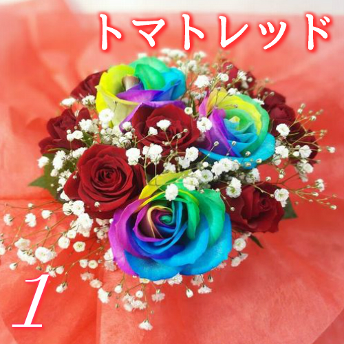 レインボーローズ5本入【お任せブーケ】