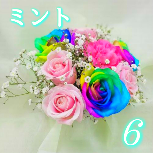 レインボーローズ5本入【お任せブーケ】