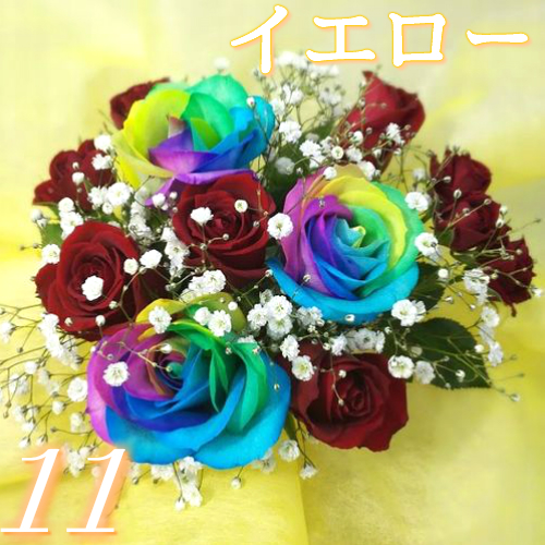 レインボーローズ5本入【お任せブーケ】