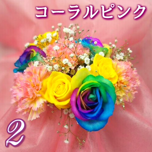 レインボーローズ5本入【お任せブーケ】