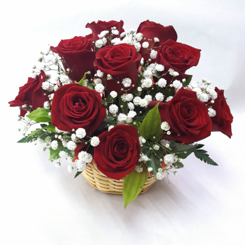 大人アレンジメント【赤バラ10本】