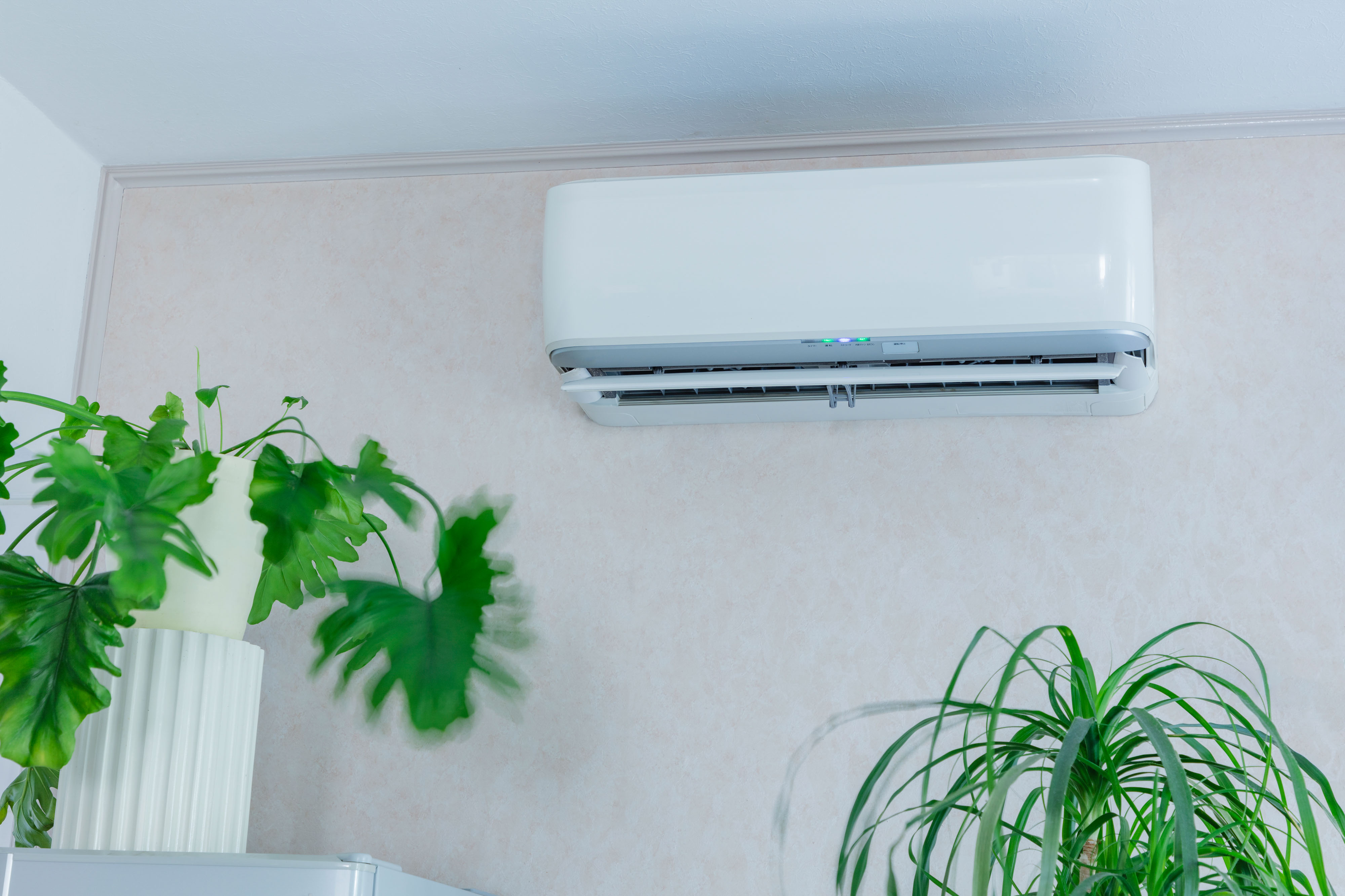 ボタニカル 除菌消臭スプレー （室内用）300ml