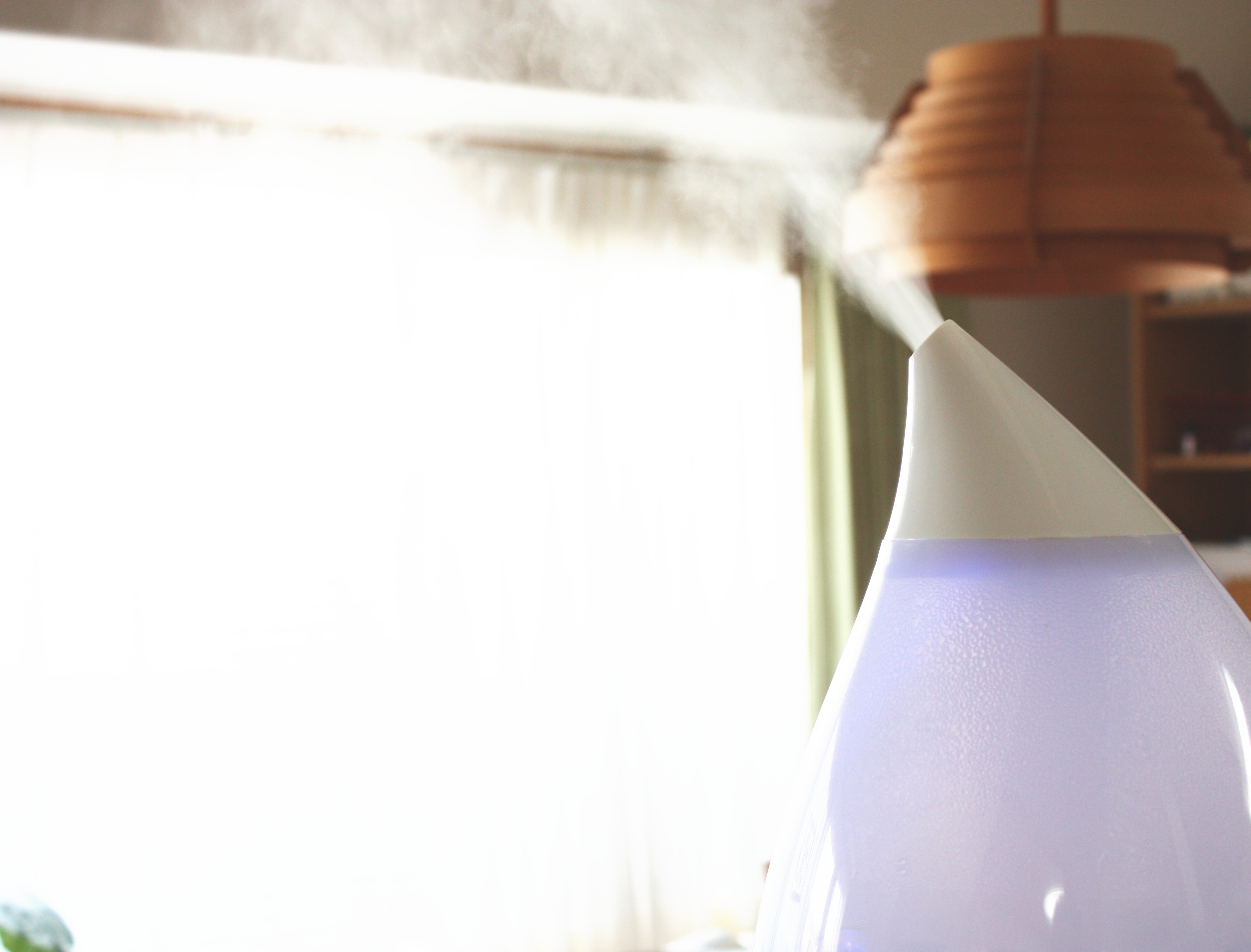 ボタニカル 除菌消臭スプレー （室内用）300ml