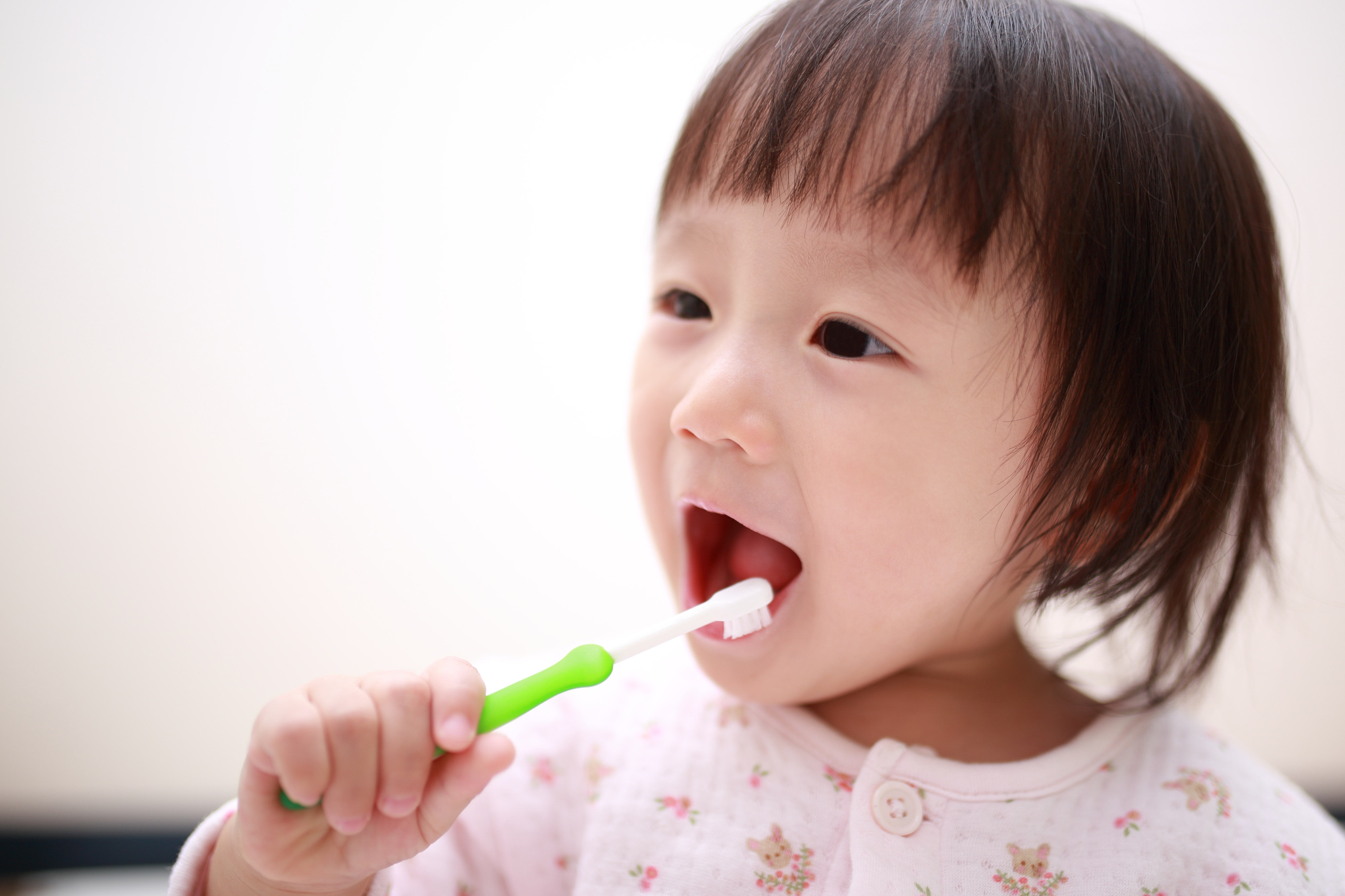 ボタニカル 除菌消臭スプレー （室内用）300ml