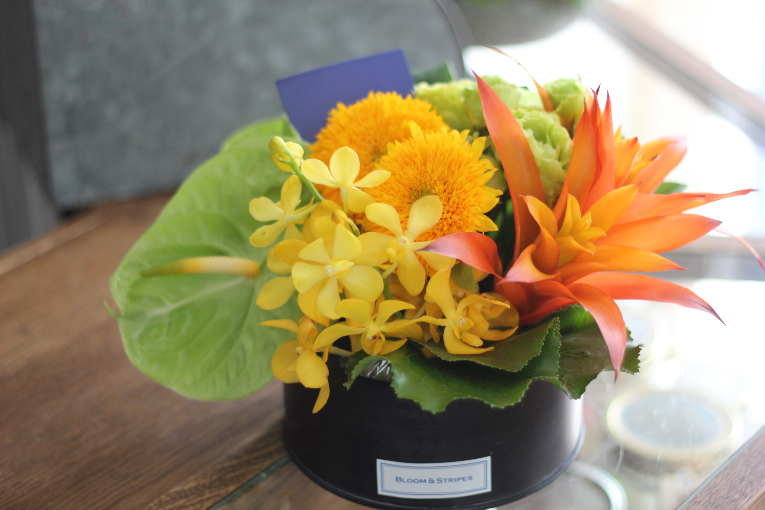 【季節のフラワーアレンジメント】ローラウンド5000