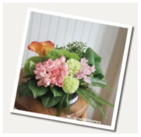 【季節のフラワーアレンジメント】ローラウンド7000