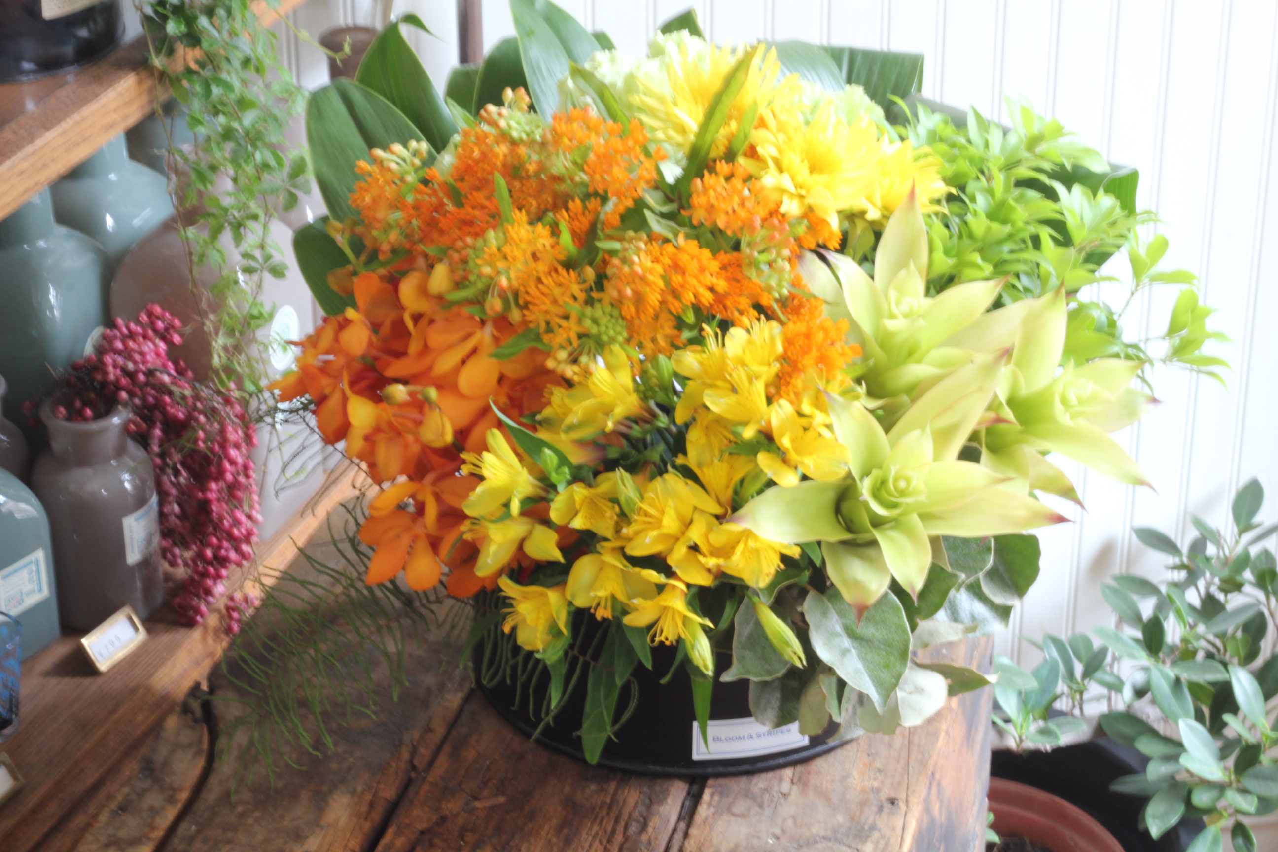 【季節のフラワーアレンジメント】ローラウンド15000