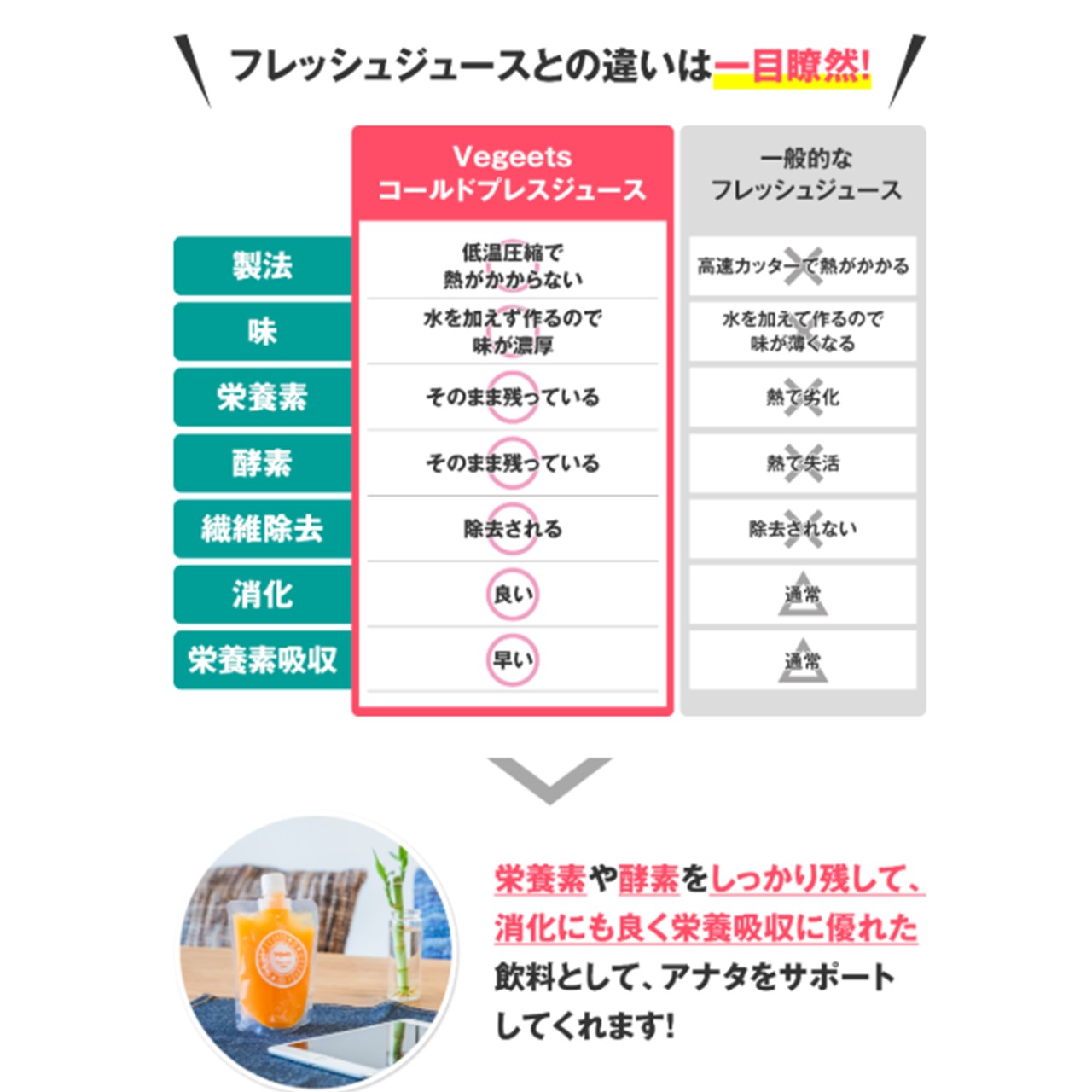 Vegeetsコールドプレスジュース【2日クレンズ12本セット（5