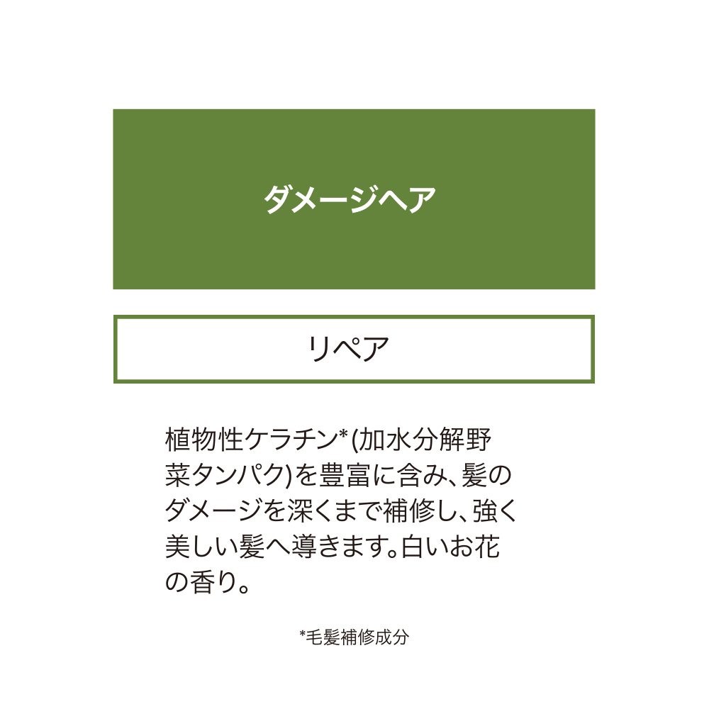 カラープロテクト シャンプー & コンディショナー セット