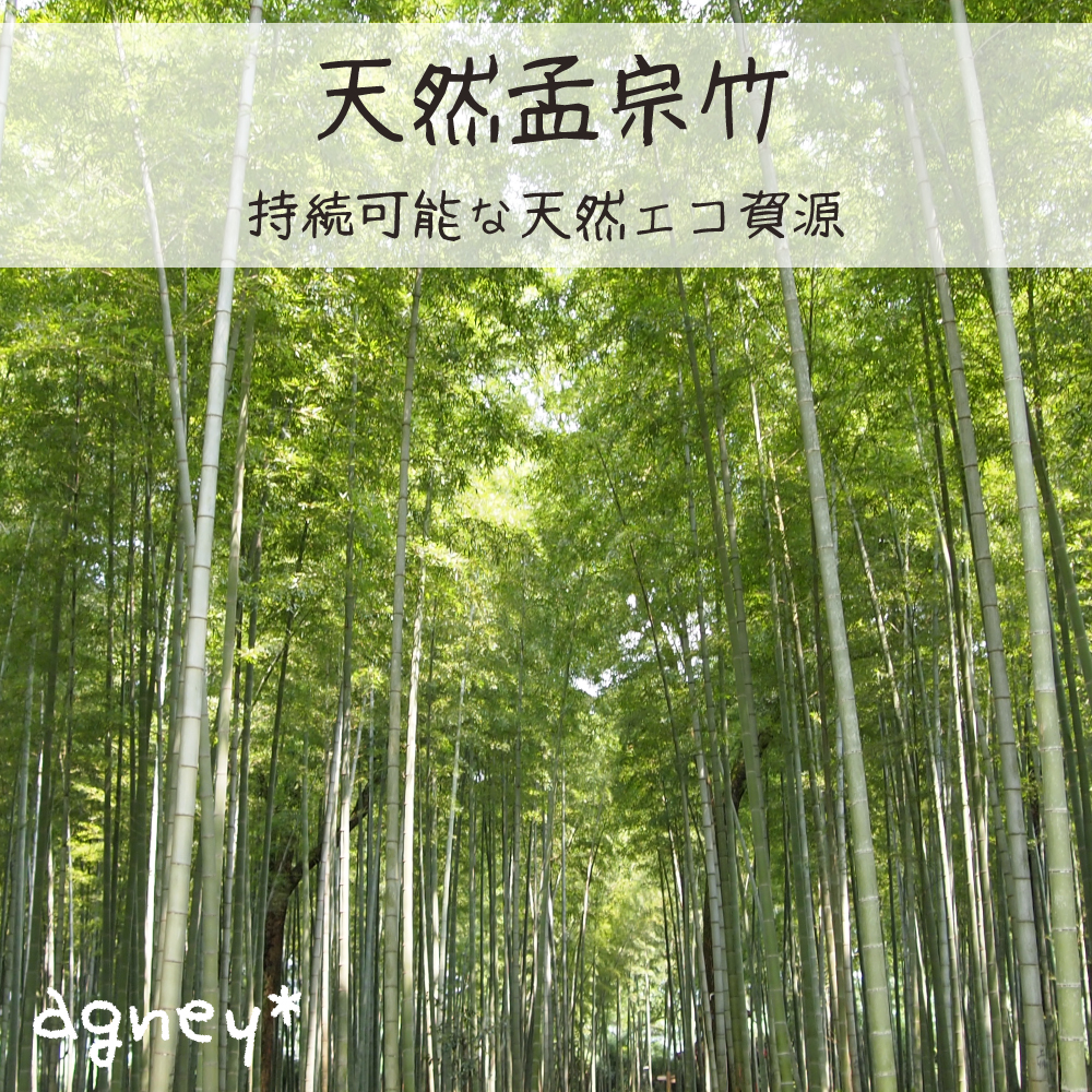 離乳食パレットセット