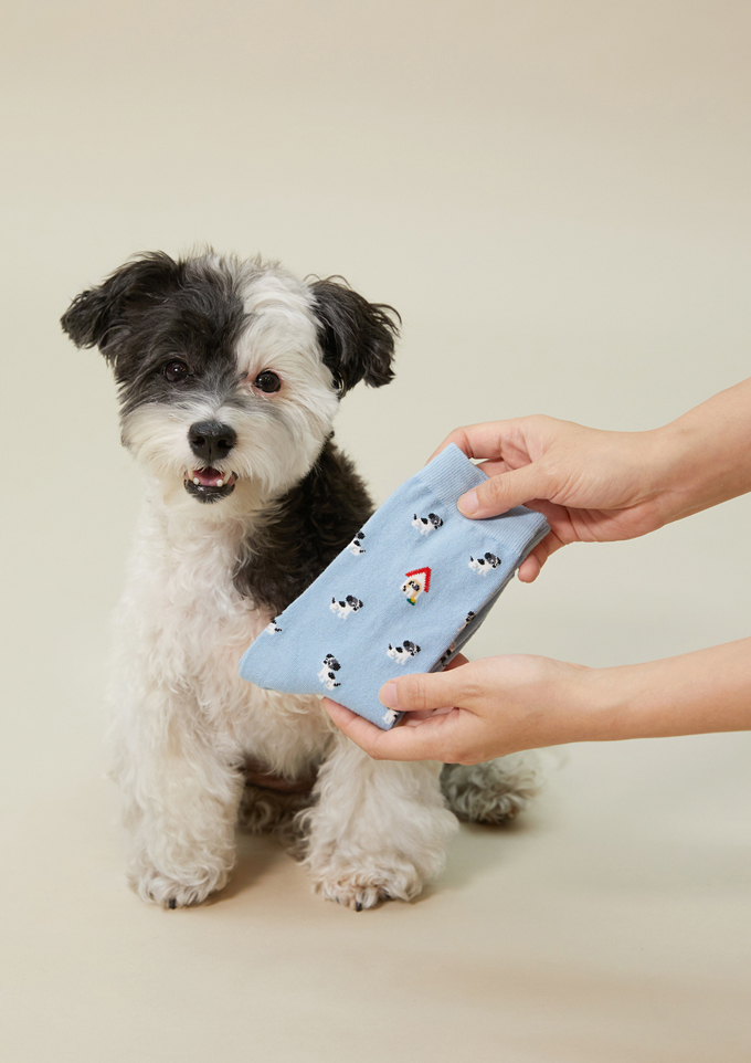 オリジナルパターンシリーズ Mサイズ(メンズ向け26.5-30cm)