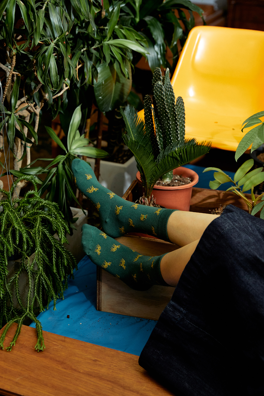 オリジナルパターンシリーズ Mサイズ(メンズ向け26.5-30cm)