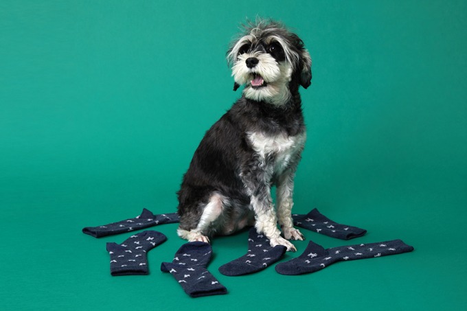 オリジナルパターンシリーズ Sサイズ(ウィメンズ向け22-26cm)