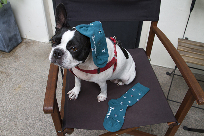 オリジナルパターンシリーズ Sサイズ(ウィメンズ向け22-26cm)