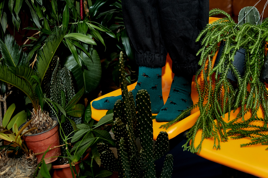 オリジナルパターンシリーズ Sサイズ(ウィメンズ向け22-26cm)